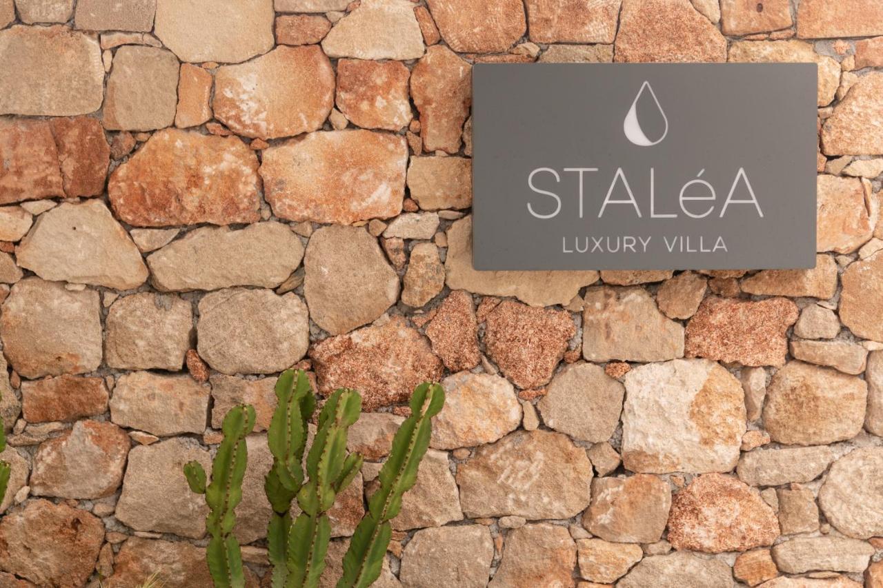 Stalea Luxury Villa Pefki Zewnętrze zdjęcie